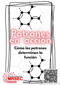Booklet cover with black hexagon shapes on white background with MRSEC logo and Spanish text that says: Patrones en acción: Cómo los patrones determinan la función